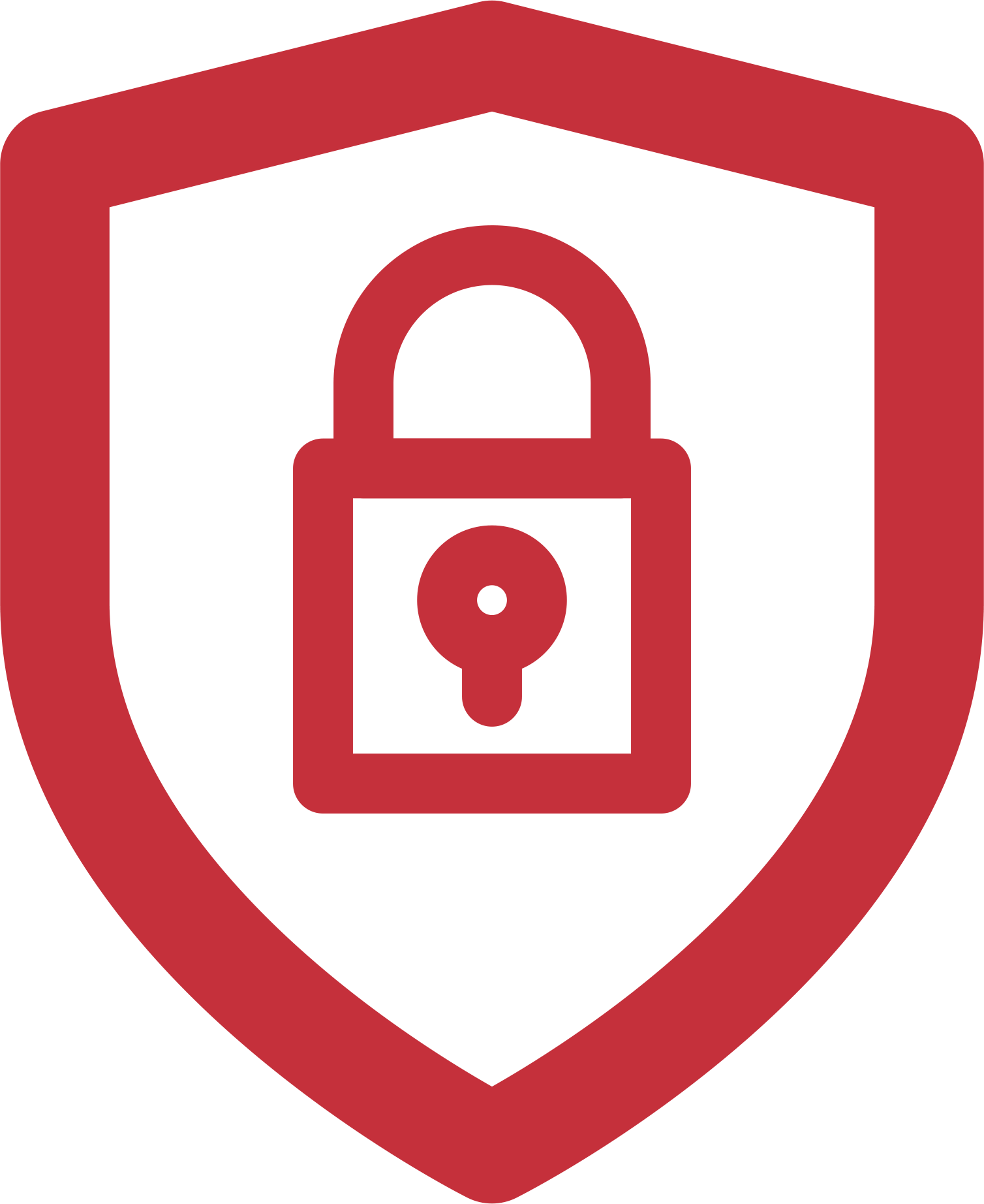 SecurityPreserver Icon